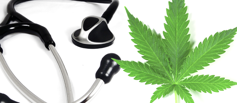 badania nad medyczna marihuana